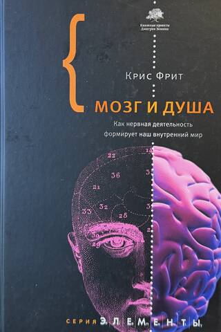 Мозг и душа. Как нервная деятельность формирует наш внутренний мир