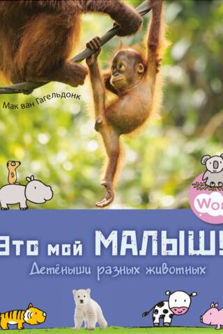 Это мой малыш! Детеныши разных животных
