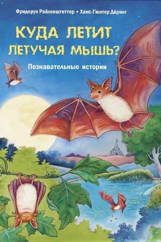 Where does the bat fly? Educational stories