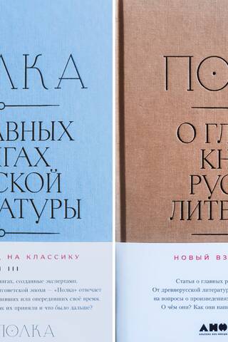 Полка. О главных книгах русской литературы. Том 3–4