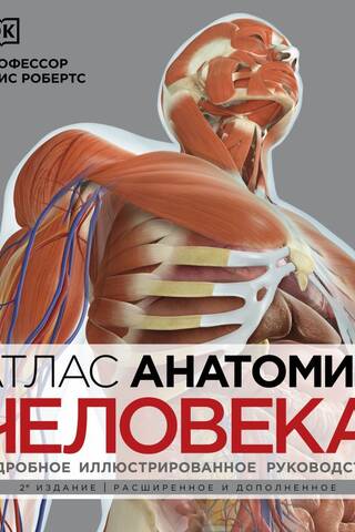 Атлас анатомии человека. Подробное иллюстрированное руководство