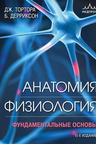 Анатомия. Физиология. Фундаментальные основы