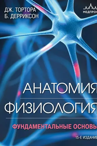 Анатомия. Физиология. Фундаментальные основы