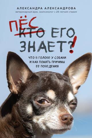 Пес его знает! Что в голове у собаки, и как понять причины ее поведения