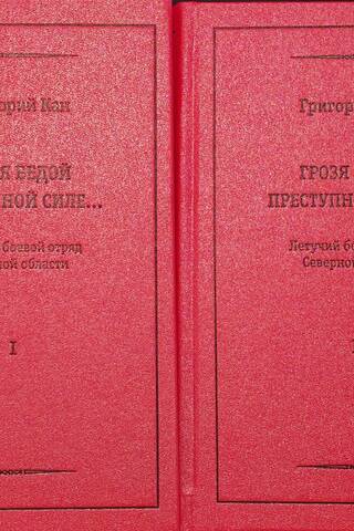 Грозя бедой преступной силе… Летучий боевой отряд Северной области (1906-1908). В 2 томах. Том 1. Идеология. События. Люди. Том 2. Дополнения и приложения