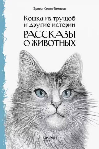 Кошка из трущоб и другие истории. Рассказы о животных