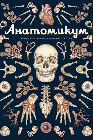 Анатомикум