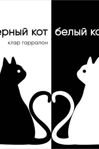 Чёрный кот, белый кот