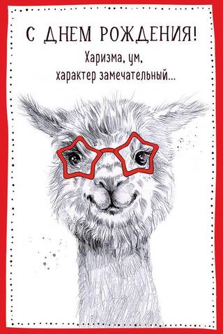 Открытка. С Днём рождения! Харизма, ум, характер замечательный… Лама в очках