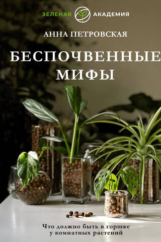 What should be in a houseplant pot? Unfounded myths