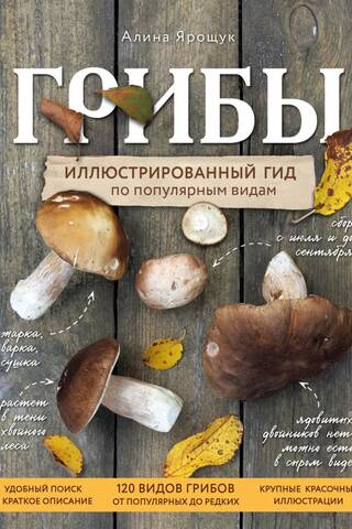 Грибы. Иллюстрированный гид по популярным видам