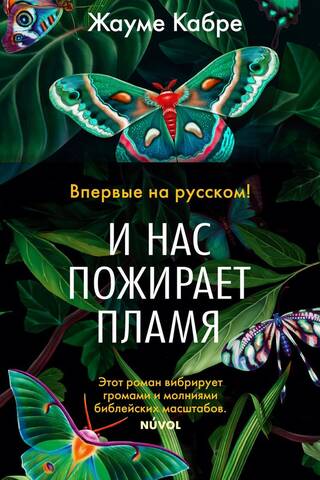 И нас пожирает пламя