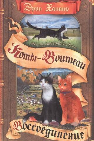 Месть Звездного Луча. Книга 2. Воссоединение