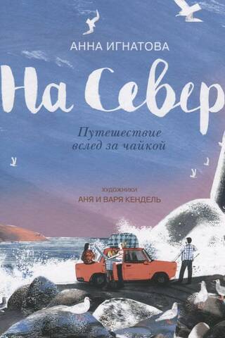 На Север. Путешествие вслед за чайкой