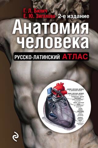 Анатомия человека: Русско-латинский атлас