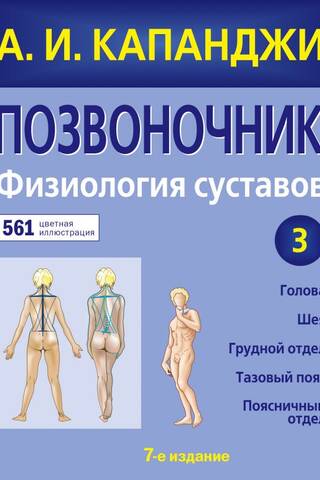 Позвоночник: Физиология суставов