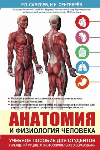 Анатомия и физиология человека