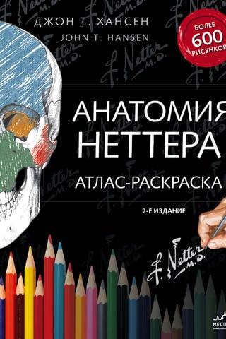 Анатомия Неттера: атлас-раскраска