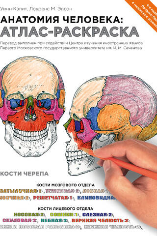Human Anatomy: A Coloring Atlas