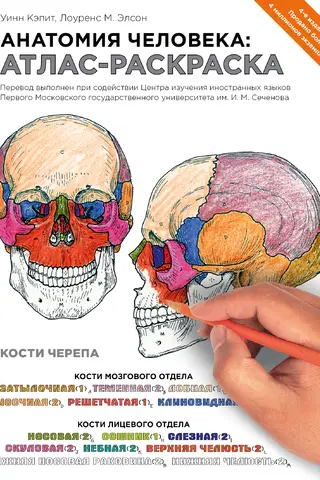 Анатомия человека: атлас-раскраска
