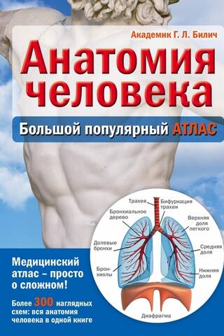 Анатомия человека: большой популярный атлас
