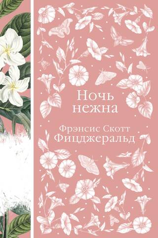 Ночь нежна