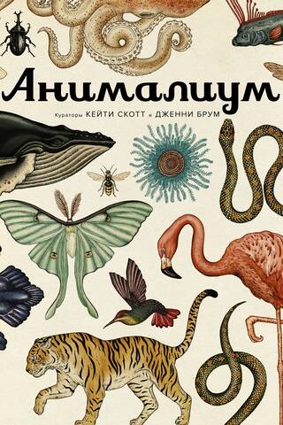 Animalium