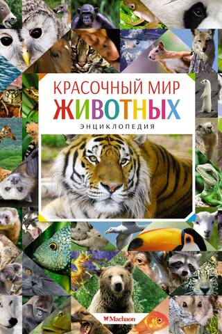Красочный мир животных. Энциклопедия