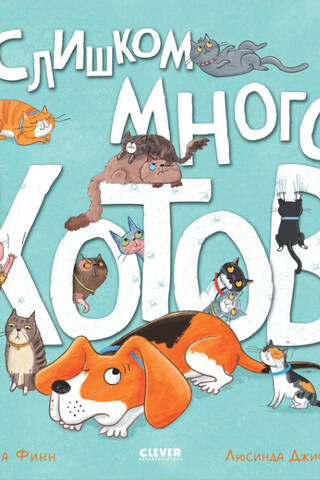 Слишком много котов