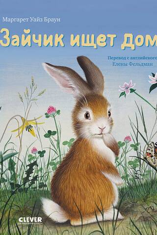 The bunny is looking for a home