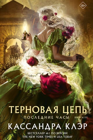 Последние часы. Книга III. Терновая цепь