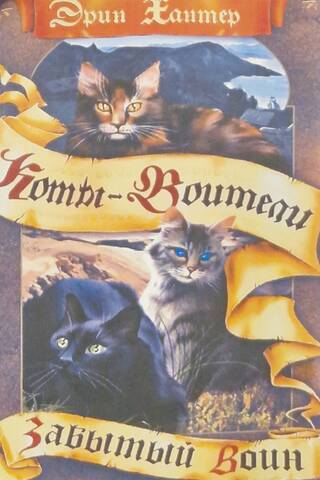 Знамение звезд. Книга 5. Забытый воин