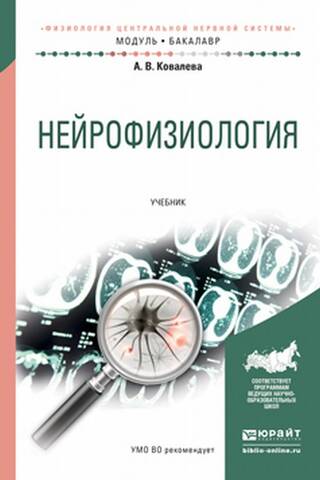 Нейрофизиология