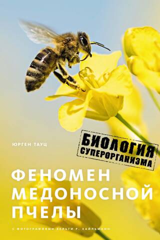 Феномен медоносной пчелы. Биология суперорганизма