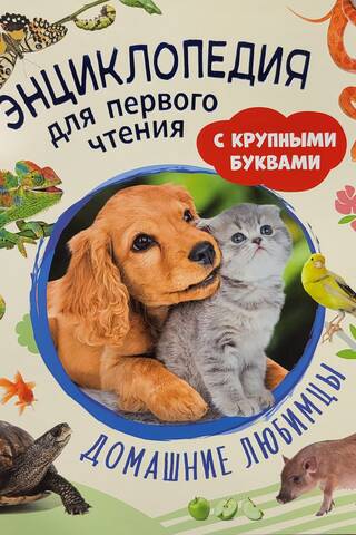 Домашние любимцы. Энциклопедия для первого чтения с крупными буквами