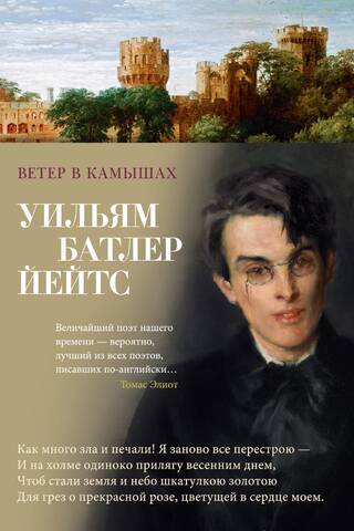 Ветер в камышах