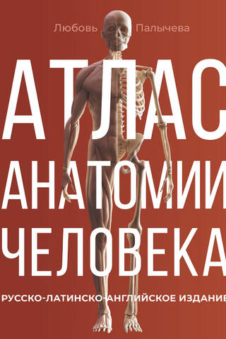Атлас анатомии человека. Русско-латинско-английское издание