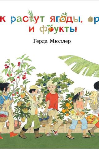 Как растут ягоды, орехи и фрукты?