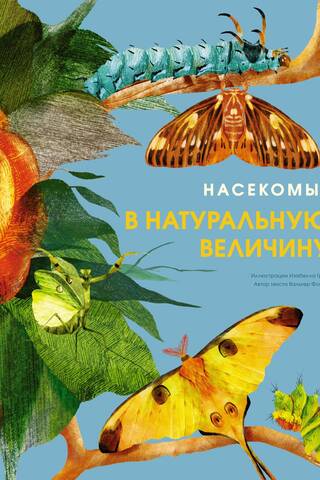 Насекомые в натуральную величину