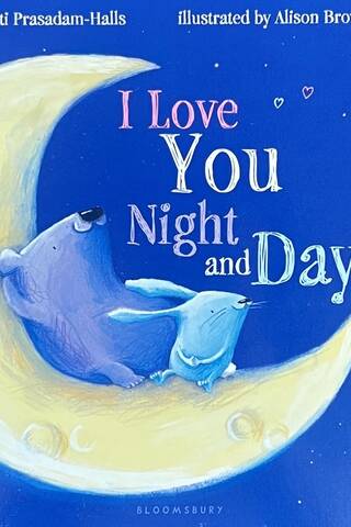 I Love You Night and Day