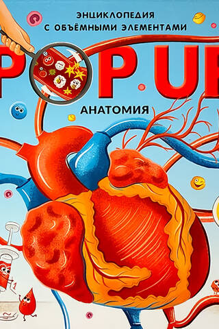 Анатомия. Книжка-панорамка