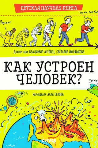 Как устроен человек?