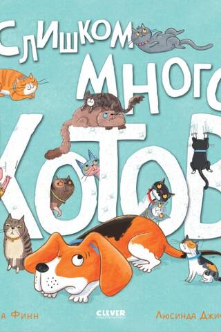 Слишком много котов