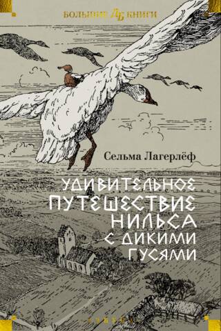 The Amazing Journey of Nils with the Wild Geese