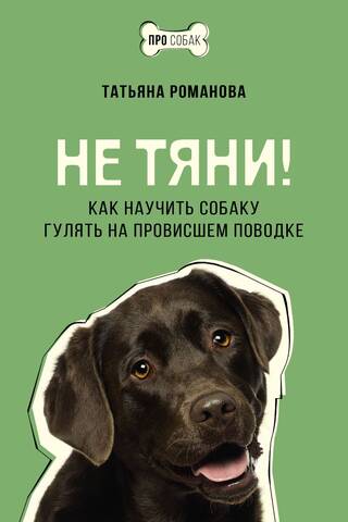 Не тяни! Как научить собаку гулять на провисшем поводке