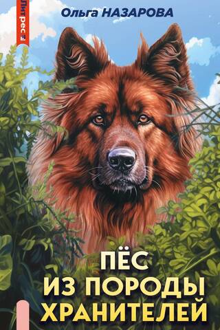 Пес из породы хранителей