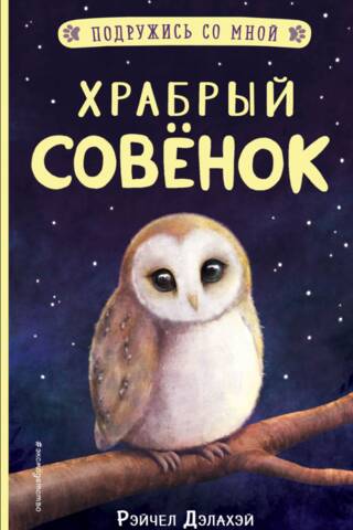 Brave little owl