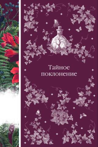 Тайное поклонение. Сборник рассказов зарубежных авторов