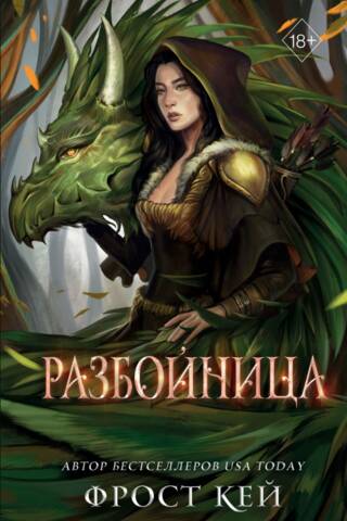 Темные королевства. Книга 5. Разбойница