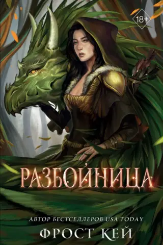Темные королевства. Книга 5. Разбойница